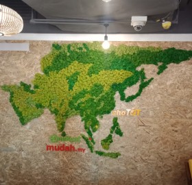 Bản đồ các nước Châu Á làm bằng thảm rêu nhân tạo