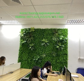 Thi công lắp đặt vách tường cỏ xanh tươi tại văn phòng công ty quận 1 - Tp HCM