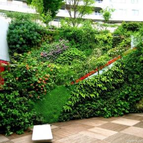  Tường cây giả – mảng xanh tuyệt vời